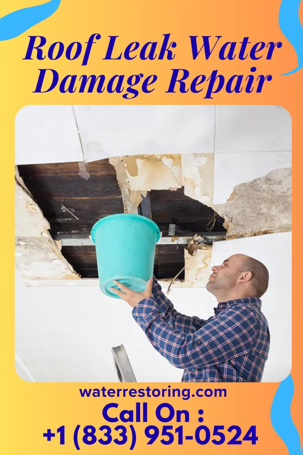 Roof Leak Water Damage Repair in Emery, SD